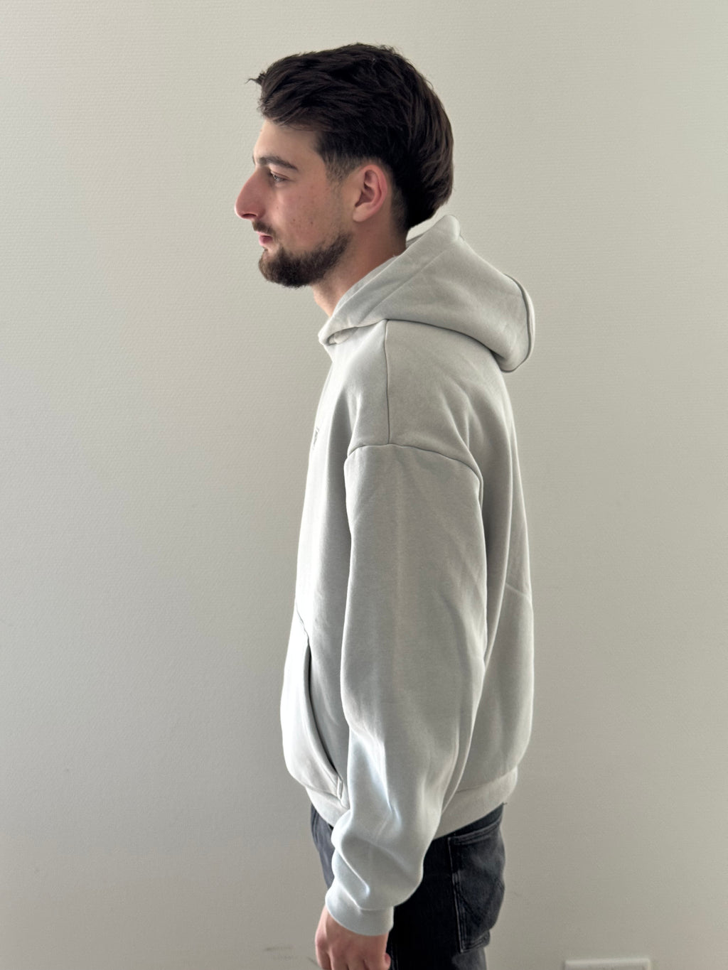 LIMITED EDITION Hoodie Light Grey 2025